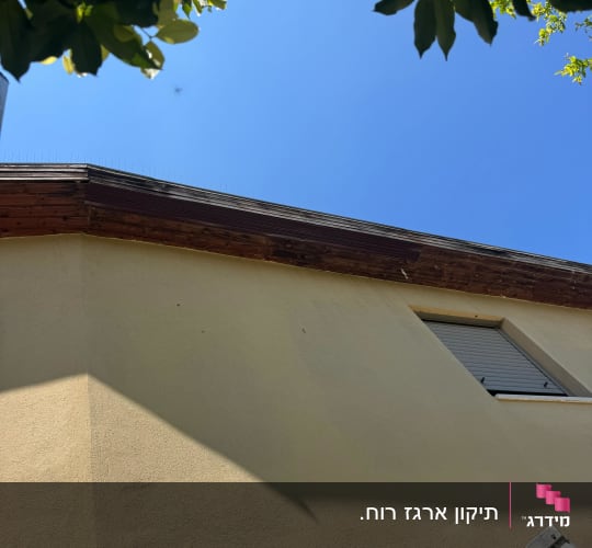 גג בית עם עלים ברקע ושמיים כחולים